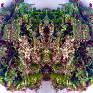 Kruiden dressing met oa peterselie