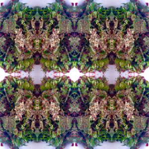Kruiden dressing met oa peterselie
