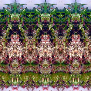 Kruiden dressing met oa peterselie