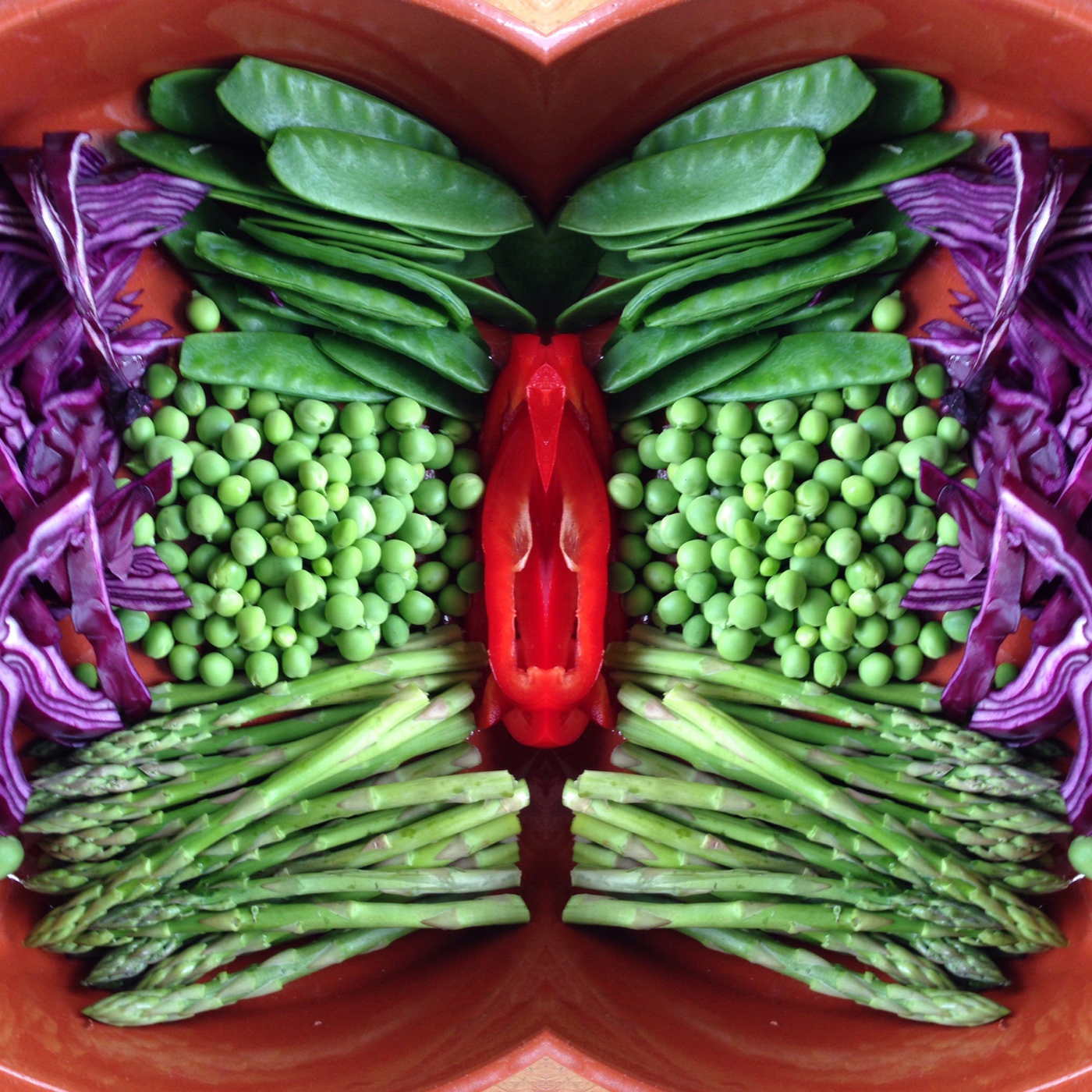 Allergisch Naar behoren Kwalificatie Verschillende groenten samen in een schaal - Kook je Beter