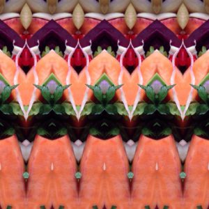 Zoete aardappel met oa rode en groene kool