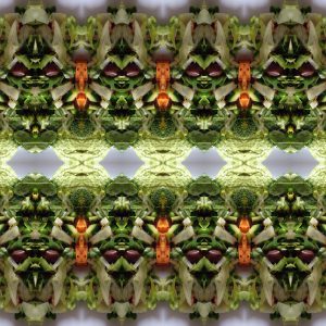 Oranje met groen op een zomerse avond