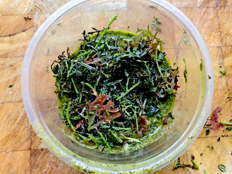 Mizuna, een japanse raapsteel, is ook een lekkere pesto