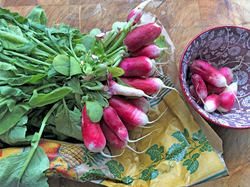 Blad van de radijs als basis van een pesto