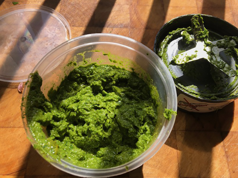 Een veelzijdige daslook pesto maak je in het voorjaar