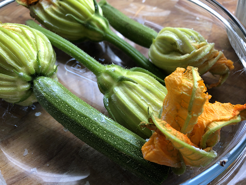 Courgette bloemen gevuld met ricotta en kruiden