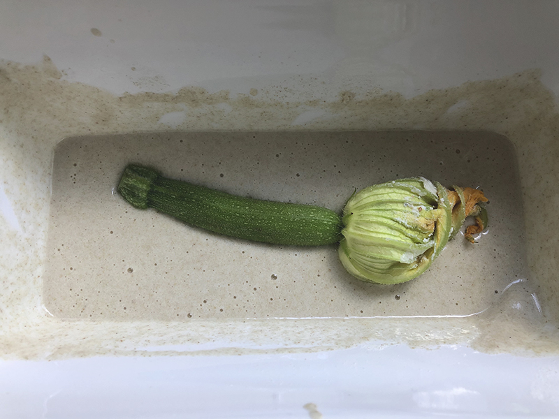 Courgette bloemen gevuld met ricotta en kruiden