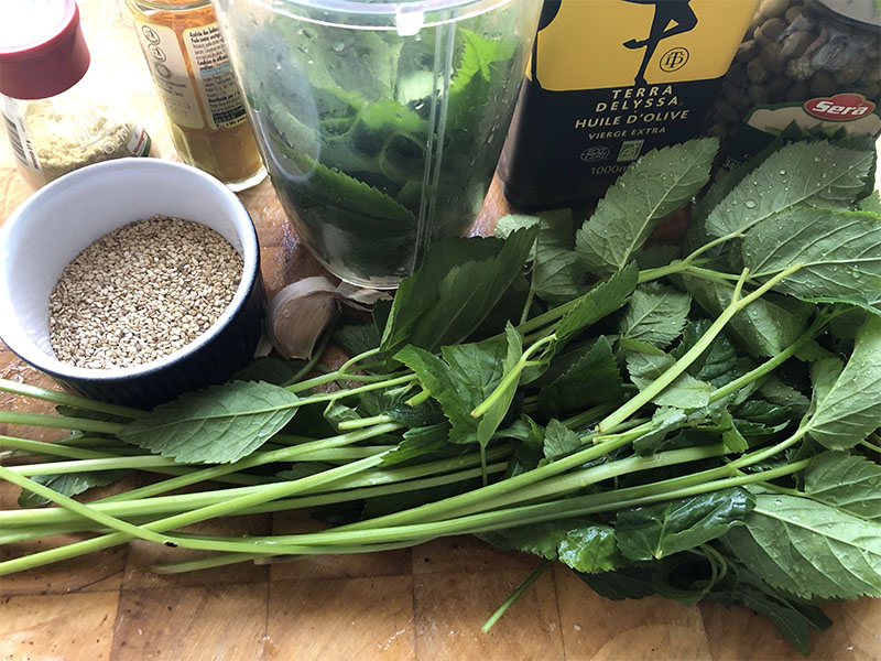 Zevenblad pesto door gestoomde broccoli