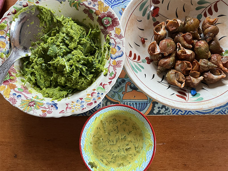 Broccoli, ui met kruiden gepureerd