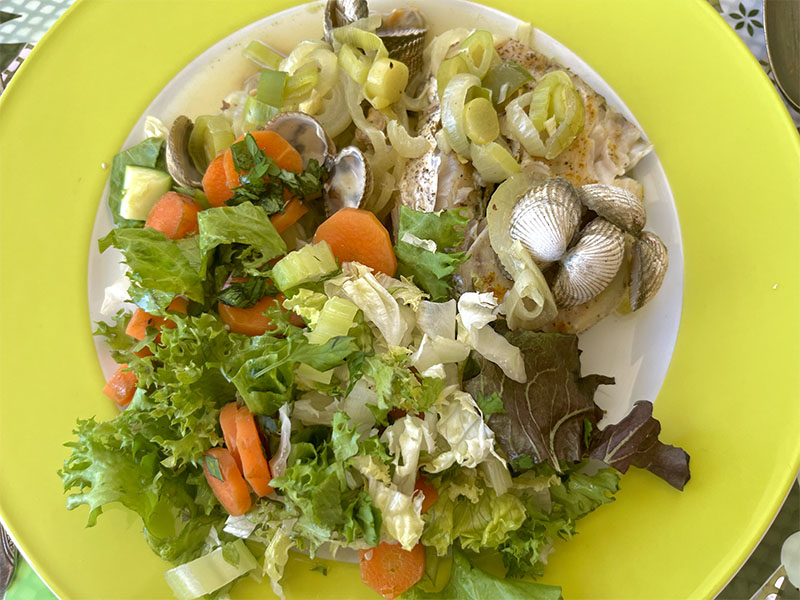 Warme lunch met witvis
